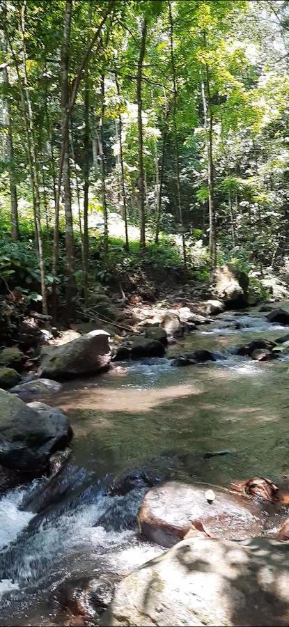 L'Javas Villas Kalibendo Exteriör bild